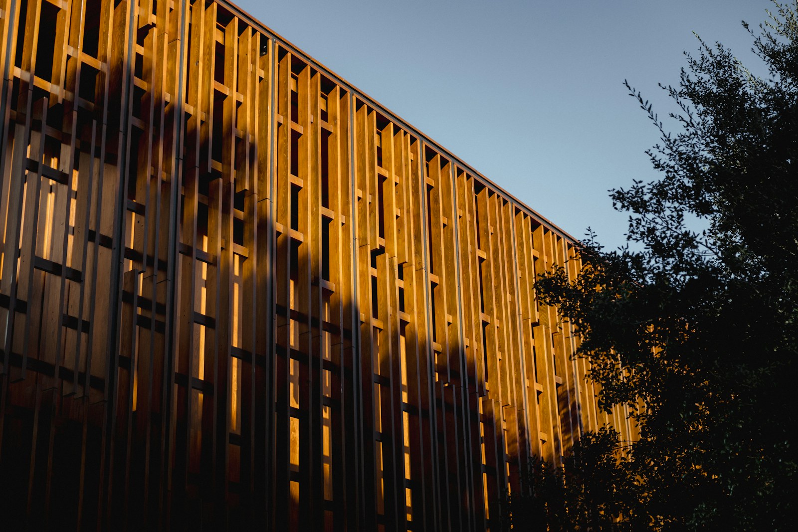 Sunlit timber facade with a rhythmic structural pattern